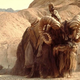 Image for article titled Photos of an elephant dressing up as the bantha from Star Wars